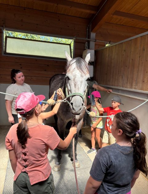 WhatsApp Image 2026-03-14 at 08.43.45