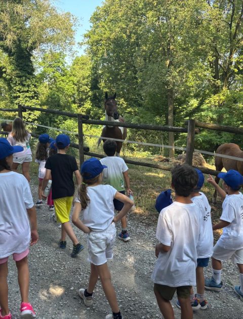 WhatsApp Image 2026-03-14 at 08.47.13